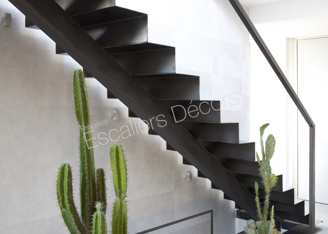 Photo DT74 - ESCA'DROIT® sur Limon Central. Escalier métallique d'intérieur design pour une décoration contemporaine.