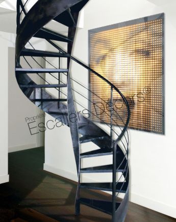 Photo DH89 - SPIR'DÉCO® Flamme. Escalier balancé d'intérieur design sur flamme centrale formant escalier hélicoïdal métallique.